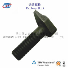 Odd Shaped Rail Bolt with Plain Oiled Made in China